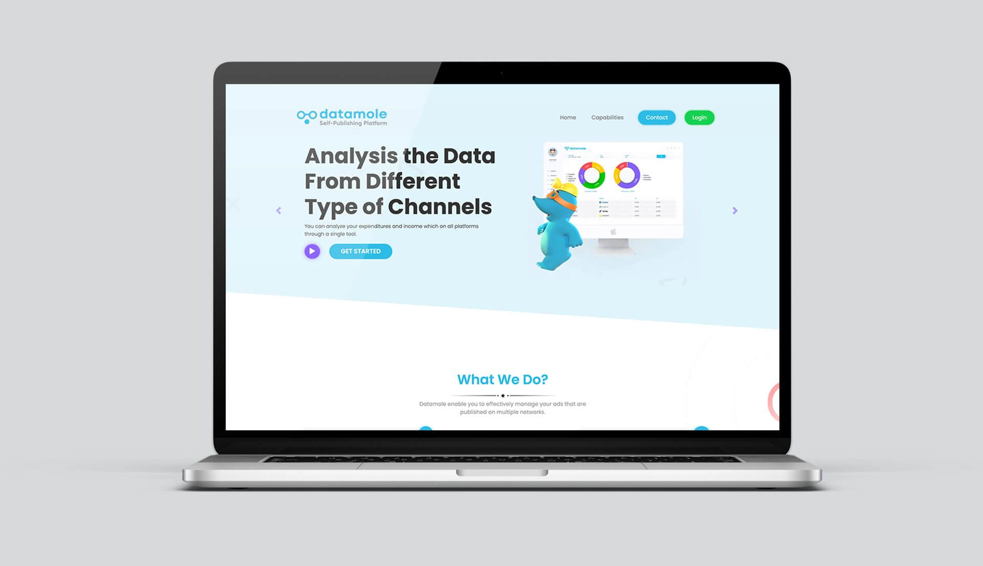 Black Studio Agency Works Datamole